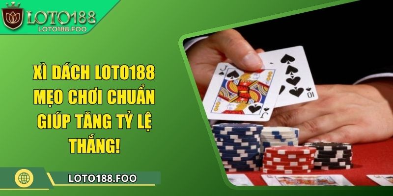 Xì Dách Loto188 – Mẹo Chơi Chuẩn Giúp Tăng Tỷ Lệ Thắng! 4 Xì Dách Loto188 – Mẹo Chơi Chuẩn Giúp Tăng Tỷ Lệ Thắng!